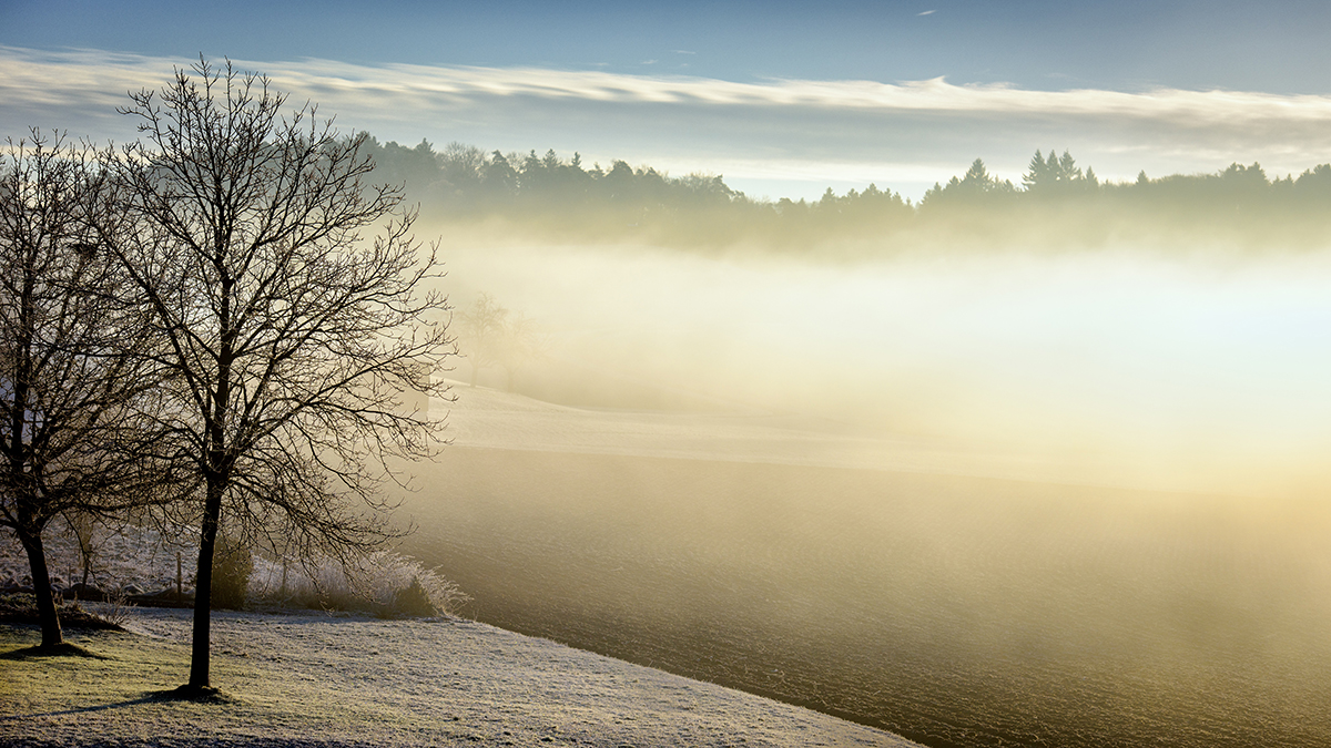 landscape-tree-nature-forest-horizon-snow-760885-pxhere.com.jpg